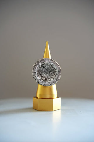 Ring VL1031 - VELDONI